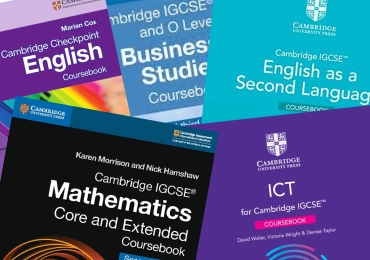 Curriculum and programs at QIPS